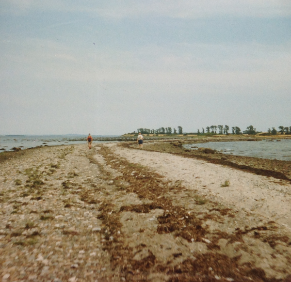 (Foto af stenet strand)