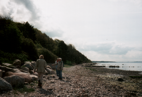 (Foto af stenet strand.)